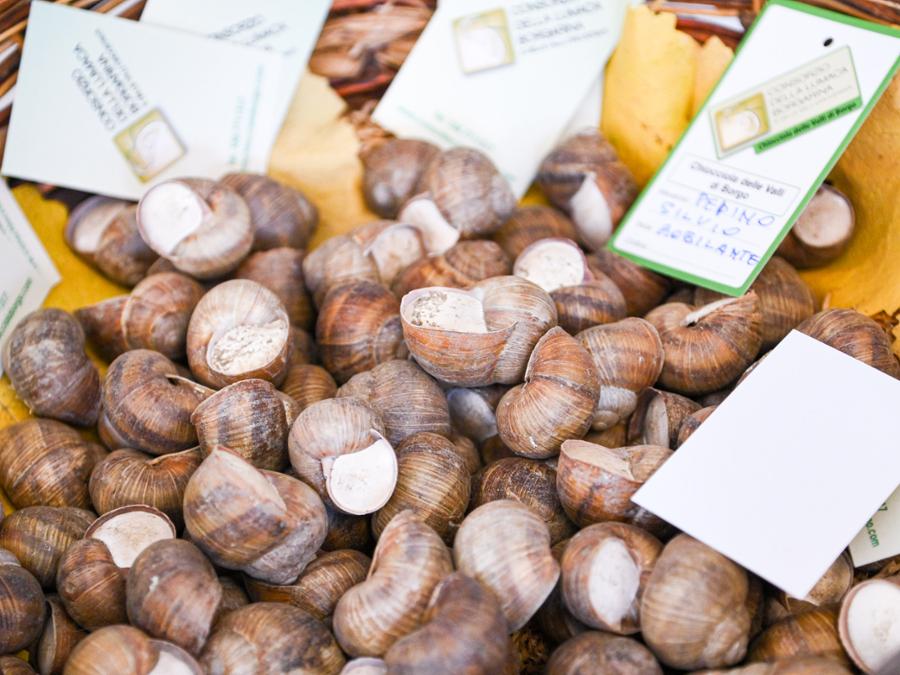 FIERA FREDDA DELLA LUMACA